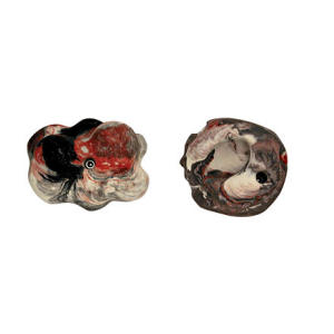 Metolius Roof Jugs - 2 Pack - 2007