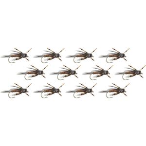 Montana Prince - 12-Pack