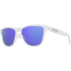 frogskin sunglasses backcountry