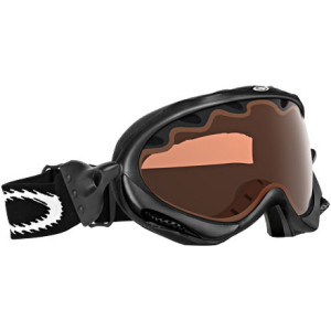Oakley Wisdom Goggles - Polarized Lens - 2006