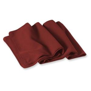 Patagonia Micro D-Luxe Scarf - 2006
