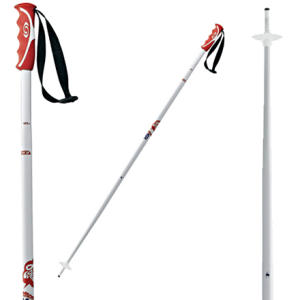 Salomon Teneighty Ski Pole - 2006