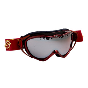 Smith Anthem Goggle
