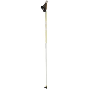 Swix Carbon TBS Ski Pole Best Price