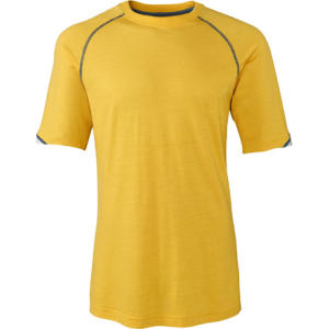 SmartWool Rambidextrous T-Shirt -Short Sleeve - Men's - 2008
