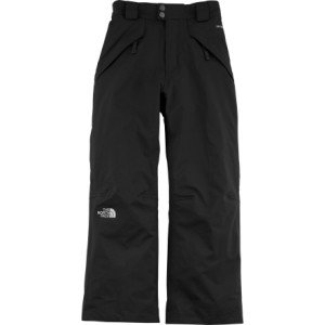 The North Face Seymore Insulated Pant - Boys' - 2008