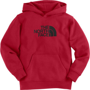 The North Face Logo Pullover Hooded Sweatshirt - Boys'