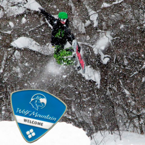 Utah Avalanche Center Wolf Mountian Single Day Adult Lift Ticket - 2008