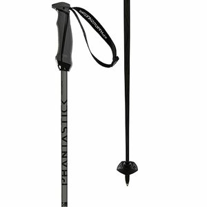Volkl Phantastick Carbon Poles