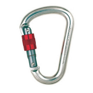 Wild Country Syneregy Screwgate Carabiner