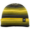Analog Raider Beanie