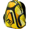 Analog Quantum Backpack