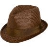 Analog Detect Fedora Hat