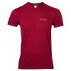 Arc'teryx Burnt Tee - Short-Sleeve - Men's