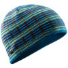 Arc'teryx Bird Cage Beanie