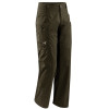 Arc'teryx Raider Pant - Men's