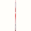 Atomic Motion Skate Ski