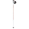 Atomic Sage Pro Ski Pole
