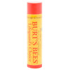 Burt's Bees Lifeguard's Choice Lip Balm