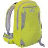 Backcountry Access Stash OB Winter Pack - 976cu in Lizard Green, One Size - backcountry backpack,touring backpack,backpack