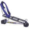 Backcountry Access Alpine Trekker