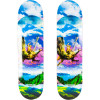 Binary Victoree Skatebord Deck 2 Pack w/Grip