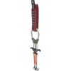 Black Diamond Camalot C3