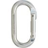 Black Diamond Oval Carabiner