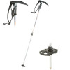 Black Diamond Whippet Self-Arrest Ski Pole