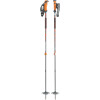 Black Diamond Traverse Pole