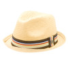 Brixton Castor Hat