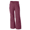 Betty Rides Lace Betty Pant - Women's