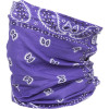 UV Buff - Bandana Print