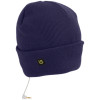 Burton Kactusbunch Headphone Beanie
