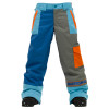 Burton Distortion Pant