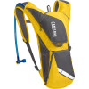 CamelBak Rogue Hydration Backpack - 200cu in Camelbak Yellow, One Size - water reservoir,biking,hiking,running