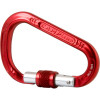 CAMP USA HMS Bet Screw Gate Carabiner