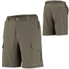 Columbia Silver Ridge Stretch Short