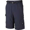 Columbia Silver Ridge Cargo Short - Men's