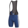 Craft Performance Logo 9in Bib Short - Men's