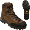 Danner Expedition GTX Hiking Boot - Men's