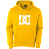 DC Star Hooded Sweatshirt - Men's