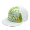 DC Flyer Baseball Hat