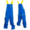 DC Nisto Bib Pant - Men's