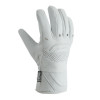 Demon Snow Crusader Leather Glove 