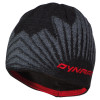 Dynafit Stoke Leaf Beanie