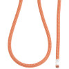Edelweiss Ally Single Climbing Rope - 10.3mm