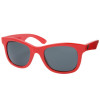 Electric Detroit Sunglass