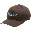Emerica Pure 2 Flexfit Baseball Hat