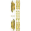4FRNT Skis STL Alpine Ski